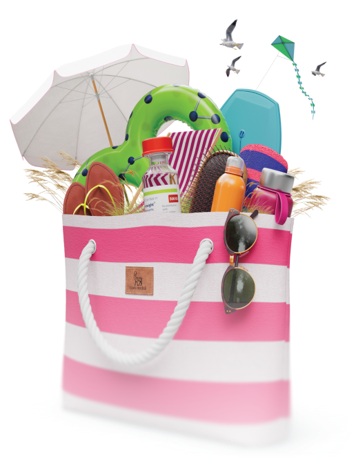 Purse 2